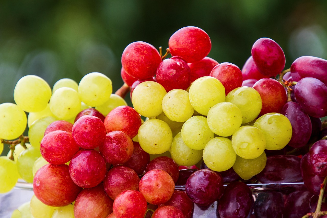 Chardonnay Grape Seed and Anti-Aging: A Little Seed with Big Beauty Benefits