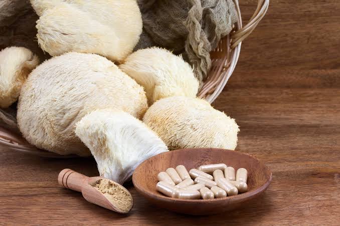 Lion’s Mane in Rain Bryt: A Natural Boost for Mind and Body